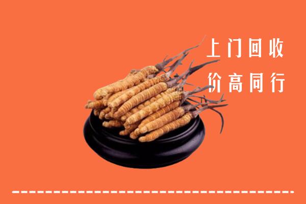 高价求购：遵义回收散虫草